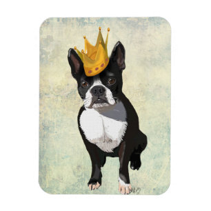 Imán Boston Terrier y corona