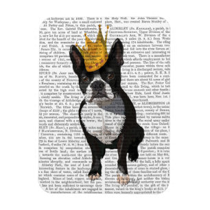 Imán Boston Terrier Y Crown
