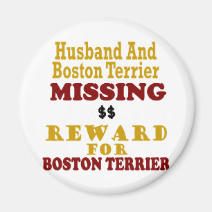 Imán Boston Terrier y recompensa que falta del marido