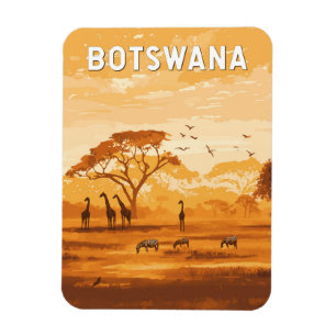 Imán Bostwana Ilustracion Viaje de arte