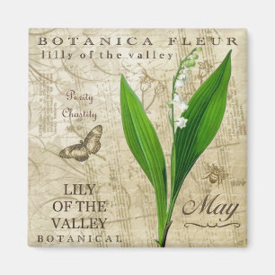 Imán Botanica May Magnet