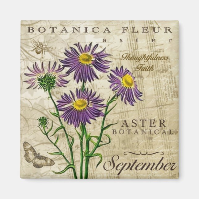 Imán Botanica September Magnet (Frente)
