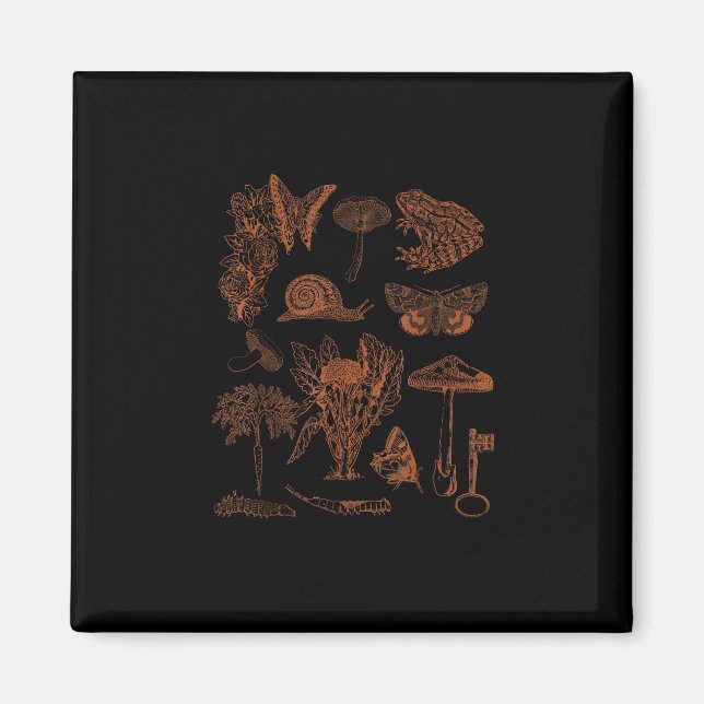 Imán Botanical Art, Frog Fungi Goblincore Aesthetic Cot (Frente)