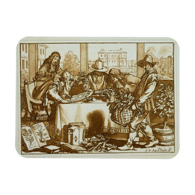 Imán Botánicos examinando plantas (litho) (Horizontal)