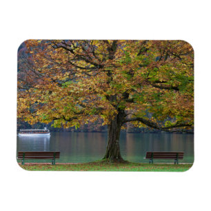Imán Bote en un lago en otoño, Alemania