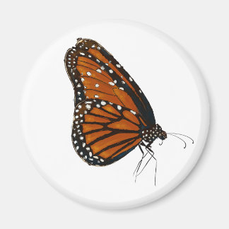 Imán botón de mariposa de reina