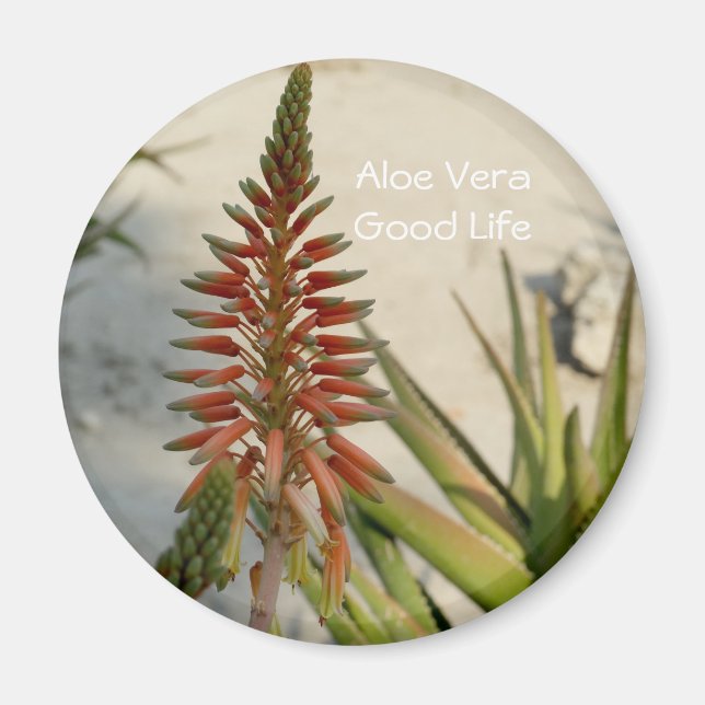 Imán botón Flor de planta de Aloe Vera (Frente)
