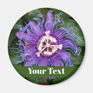 Imán botón PassionFlower con nombre