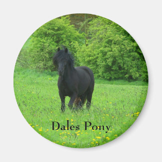 Imán botón Pony de Dales