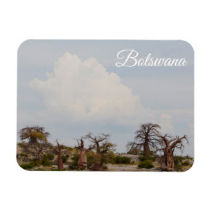 Imán Botswana Kubu Baobab Island Ir de viaje