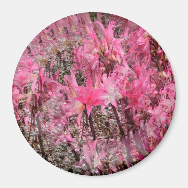 Imán Bouquet de Amaryllis..... (Frente)