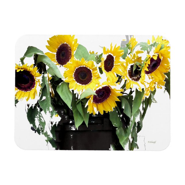 Imán Bouquet de girasol (Horizontal)