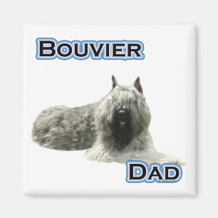 Imán Bouvier Dad 4 - Magnet