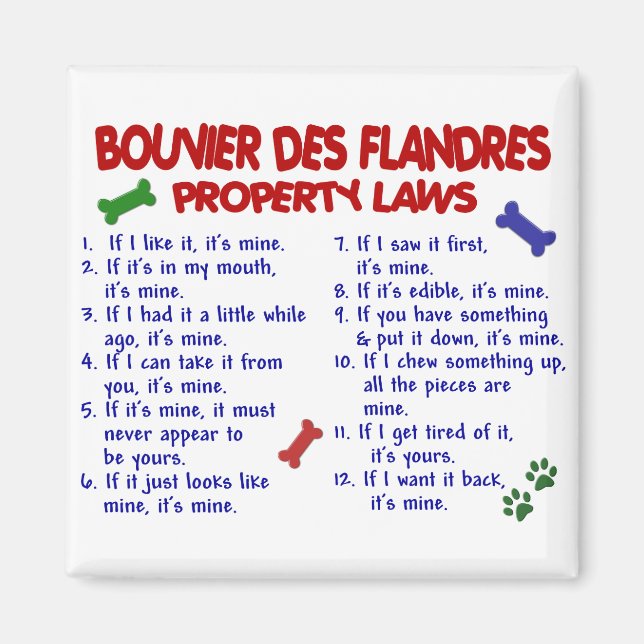 Imán BOUVIER DES FLANDRES (Leyes de propiedad) 2 (Frente)