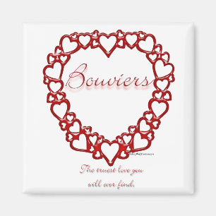 Imán Bouvier des Flandres True Love