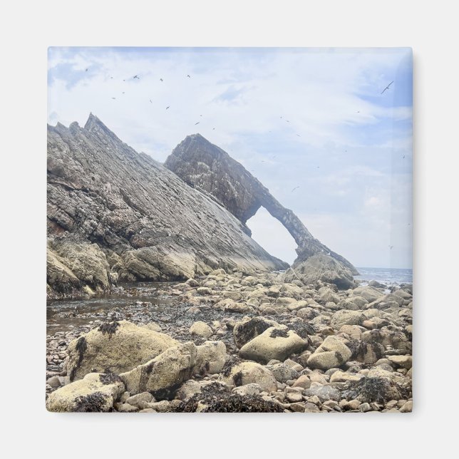 Imán Bow Fiddle Rock - Magnet (Frente)