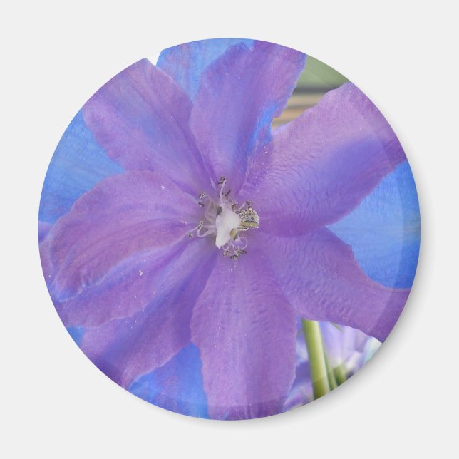 Imán Bowen (Frente)