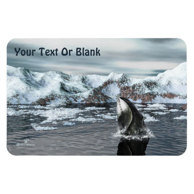 Imán Bowhead Whale (Horizontal)