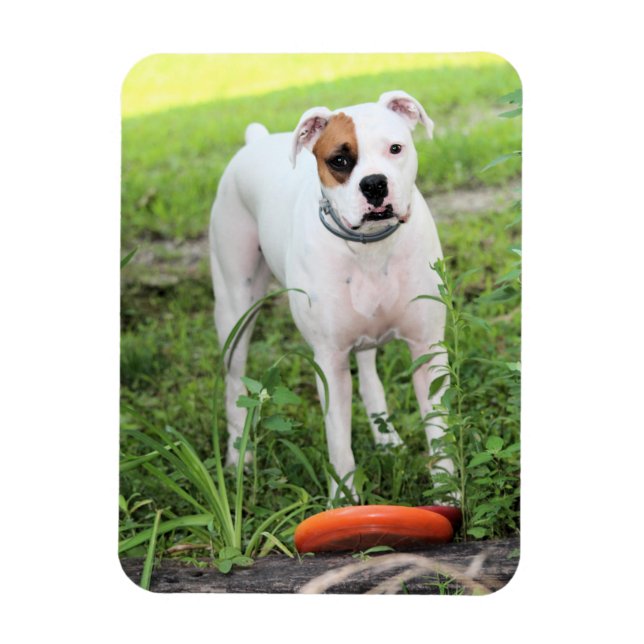 Imán Boxeador (Vertical)