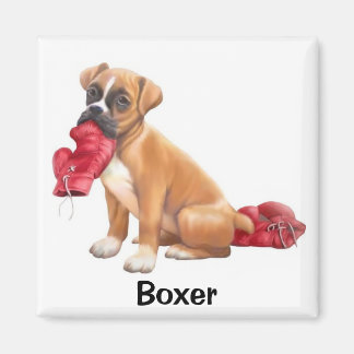 Imán Boxeador