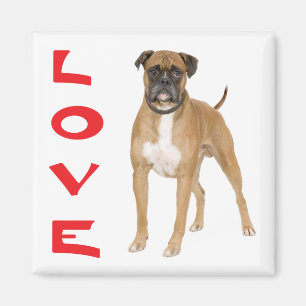 Imán Boxeador de amor Cachorro Cachorro Nevera