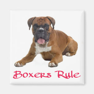 Imán Boxeador de amor Cachorro Cachorro Nevera
