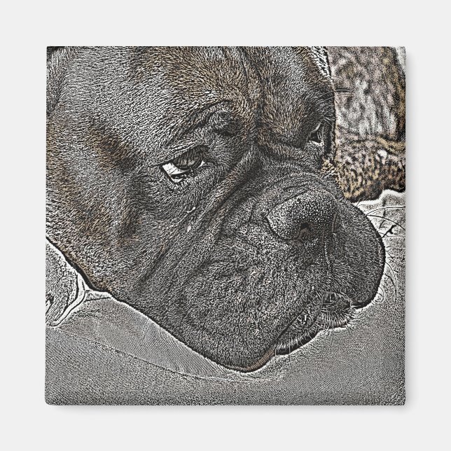 Imán Boxer Dog Magnet (Frente)