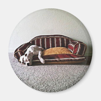 Imán Boxer Doggie Magnet