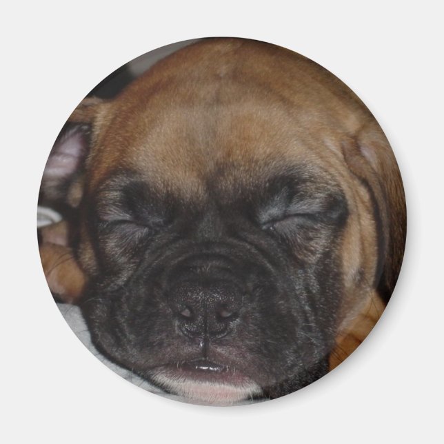 Imán Boxer Magnet (Frente)