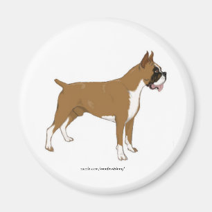 Imán Boxer Magnet
