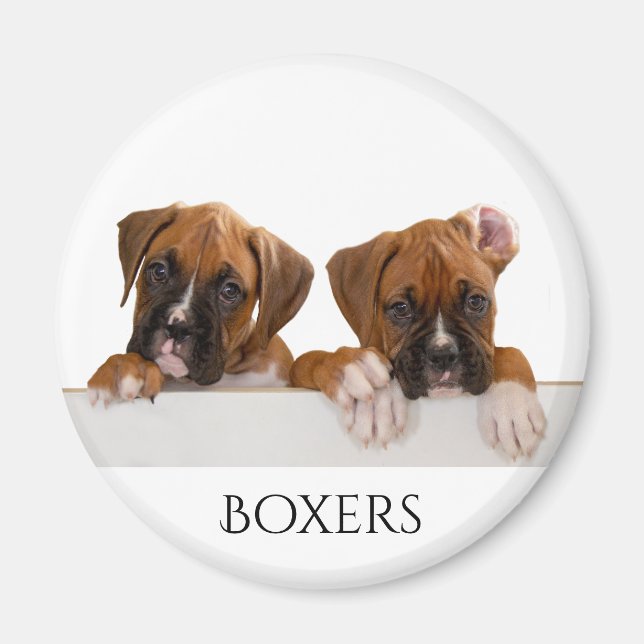 Imán Boxer Puppies (Frente)