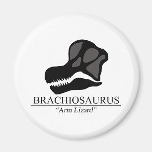 Imán Brachiosaurus Skull