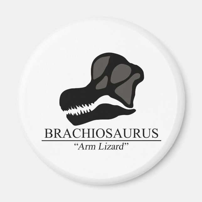 Imán Brachiosaurus Skull (Frente)