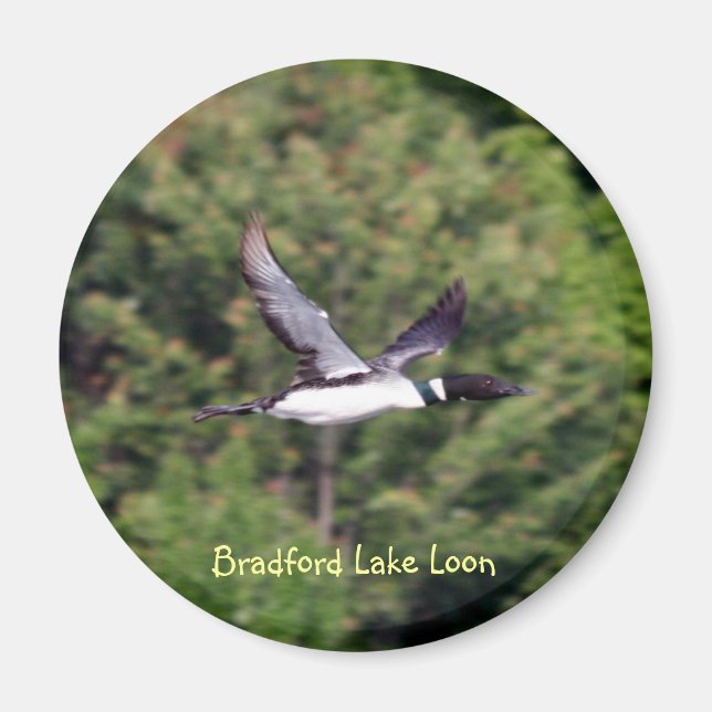 Imán Bradford Lake Loon Magnet (Frente)