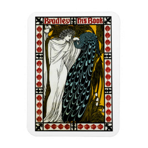 Imán Bradley: Su libro