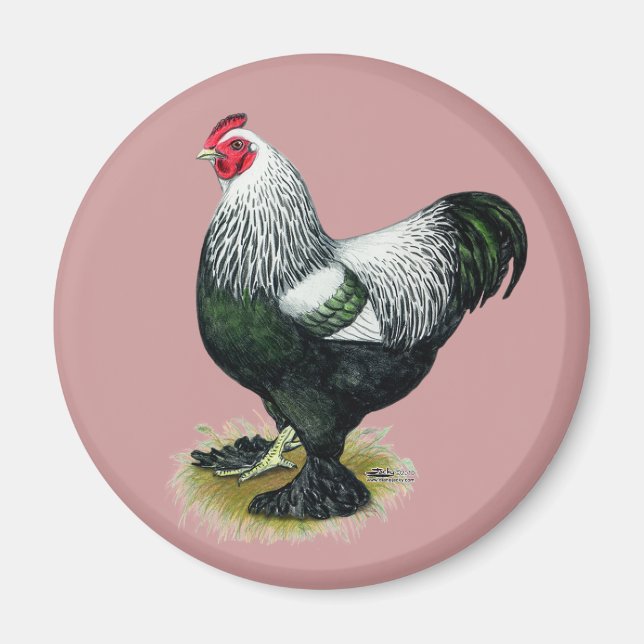 Imán Brahma: Rooster oscuro (Frente)