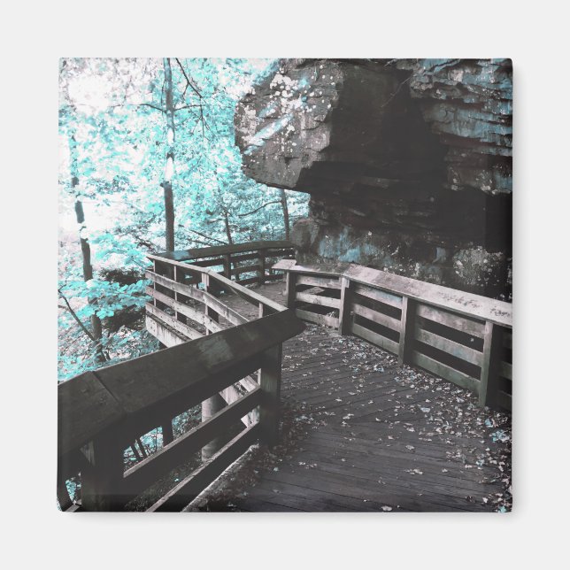 imán brandywine boardwalk (Frente)