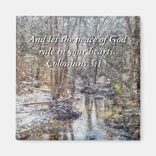 Imán Branson Fall Creek Winter Snow Painterly Magnet