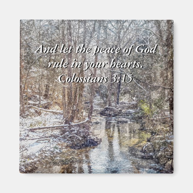 Imán Branson Fall Creek Winter Snow Painterly Magnet (Frente)