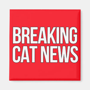 Imán Breaking Cat News Magnet