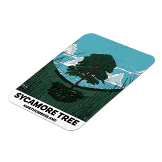 Imán Brecha del árbol de sicómoro