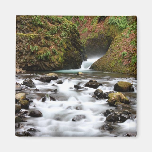 Imán Bridal Veil Falls Creek Magnet (Frente)