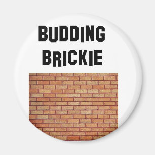 Imán brikkie de florecimiento