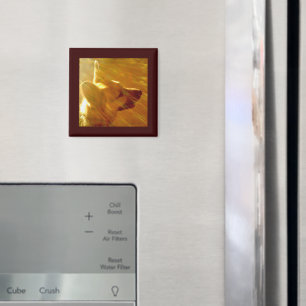 Imán Brilla Sobre Mi Pastor Alemán #2