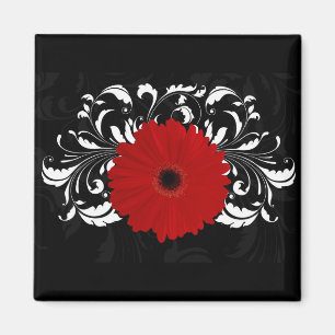 Imán Brillante Red Gerbera Daisy sobre negro