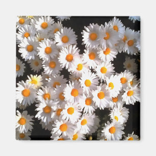 Imán Brillantes Daisises Blancos Sobre El Arte Floral N
