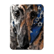 Brindle Greyhound en sus vacaciones en Bandana
