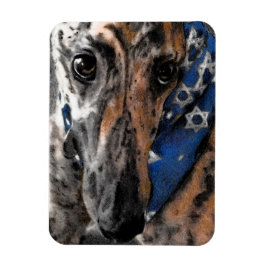 Imán Brindle Greyhound en sus vacaciones en Bandana