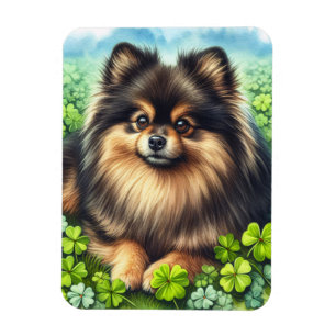 Imán Brindle Pomeranian Watercolor Clover Shamrock