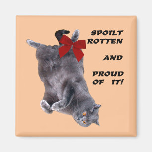 Imán británico azul del refrigerador del gato de